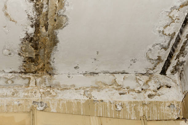 Best Indoor Air Quality Assessment  in Rome City, IN