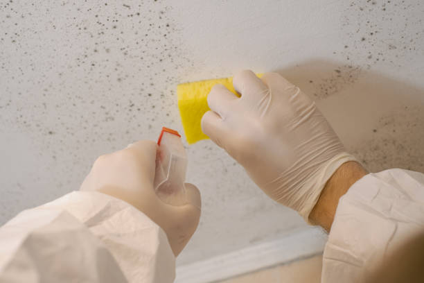 Best Air Quality Testing for Mold Spores  in Rome City, IN